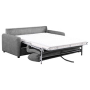 Coaster Furniture Rylie Grey Sofa Sleeper with Queen Mattress